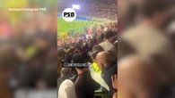 Calcio, rissa allo stadio Barbera tra dirigenti del Catanzaro e tifosi del Palermo