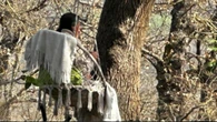 In arrivo la relazione degli ispettori del ministero sulla famiglia del bosco