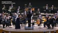 Finlandia, violino da un milione di dollari vola a terra durante un concerto
