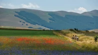 Il turismo lento in Umbria, ma la regione ha bisogno di collegamenti veloci