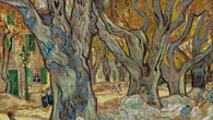 Su Sky il doc sull'acclamata mostra della National Gallery su Van Ghog