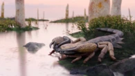Lungo un metro lo scorpione fossile più grande al mondo