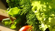 Caldo: Unaproa, sotto pressione produzioni della quarta gamma e approvvigionamenti