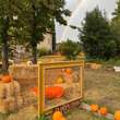 Spoleto e la valle dei Castelli di Baiano in arancione per il Pumpkin Umbria