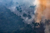O Brasil e o Meio Ambiente (por Ricardo Guedes)