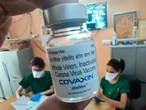 A CPI da Covid-19 agora também é a CPI da Covaxin (Randolfe Rodrigues)