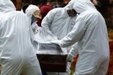 Quem é o responsável por mais de 500 mil mortes pelo coronavírus?