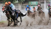 Kenapa Triple Crown di Olahraga Pacuan Kuda Susah Diraih? Ini Alasannya!