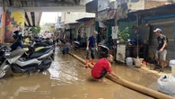 Waspada 4 Penyakit yang Berasal dari Hewan Ini Mengancam Saat Banjir Melanda