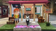 Steal the BeAT di Makassar: Sensasi Kolaborasi Honda BeAT x One Piece Tahilalats Bikin Pec...