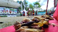 Bakar Batu di Papua, Tradisi Perdamaian dan Jalin Silaturahmi 