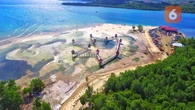 Sensasi Pagi Bersama Flamingo di Pantai Ratu Gorontalo, Wisata Ramah Keluarga