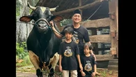 Sedihnya Momen Perpisahan Irfan Hakim dengan 3 Sapi Kurbannya, Warganet Sampai Nangis
