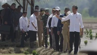 Tingkatkan Produksi Padi Nasional, Jokowi ke Petani: Kita Kejar Tanam, Tanam, Tanam