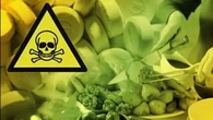 Keracunan Makanan, 72 Santri Pondok Pesantren di Banyuwangi Dilarikan ke Rumah Sakit