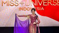 Clara Shafira Krebs Wakili Indonesia ke Miss Universe 2024 di Meksiko: Usaha Saya Didorong...