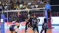 Hasil Final Four Livoli Divisi Utama 2025: Tekuk Rajawali O2C, TNI AU Electric Jaga Asa ke...
