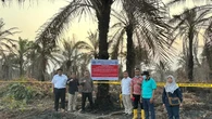 KLH Segel 4 Kebun Sawit dan 1 Pabrik Buntut Bencana Karhutla di Rokan Hilir Riau