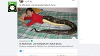 Cek Fakta: Tidak Benar Artikel Foto Penampakan Gadis Ular