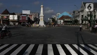 Mengenal Kepel, Flora Identitas Yogyakarta yang Kaya Manfaat