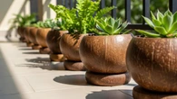 8 Cara Membuat Pot Tanaman dari Batok Kelapa, Desain Cocok Jadi Hiasan Rumah