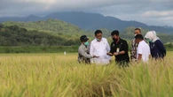 Stok Pupuk Subsidi Siap Dukung Musim Tanam April-Mei di Kalimantan-Sulawesi