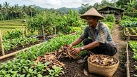10 Bahan Pengganti Mulsa Plastik untuk Kebun Sayur yang Mudah Ditemukan di Rumah