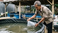 6 Cara Mempercepat Pertumbuhan Lele di Kolam Terpal untuk Panen Melimpah, Untung Besar