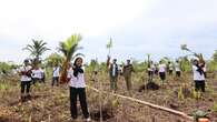 Riwayat Kerja Badan Restorasi Gambut dan Mangrove yang Tutup Setelah 9 Tahun