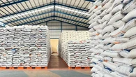 Bulog Siap Kirim 10 Ribu Ton Beras ke Palestina
