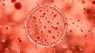 Bakteri Penyebab Gonore Jadi Superbug, Apa Artinya?