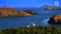 Menikmati Keindahan Pulau Rinca, Objek Wisata Alam di Pulau Flores