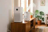 Bedanya Air Purifier dan Humidifier, Pahami Fungsi dan Cara Memilihnya agar Tak Salah Beli