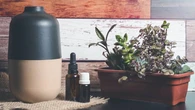 Upgrade Suasana Rumah dengan Diffuser Oil Terbaik yang Wanginya Bikin Betah