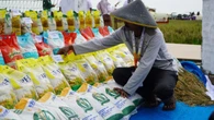 Bapanas Jamin Harga Beras SPHP Tidak Terpengaruh Dolar AS