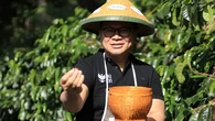 Wamen BUMN Ingin Kopi Ijen dari Lahan Perhutani Diekspor