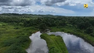Swasembada Pangan, Bendungan Marangkayu Optimalkan Irigasi 1.200 Ha