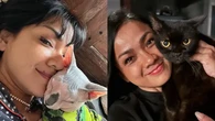 Foto-Foto Kucing Nirina Zubir, Banyak yang Diselamatkan dari Jalanan