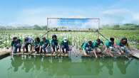 Lindungi Pesisir, Alam Sutera Tanam 10.000 Bibit Mangrove