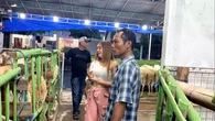 Cara Kreatif Pedagang Kambing di Sleman: Gandeng SPG dan Bagi Hadiah