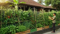 7 Desain Pagar Hijau Produktif, Panen Sayur Sekaligus Percantik Rumah