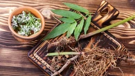 7 Tanaman Obat yang Mudah Ditanam di Halaman Rumah dengan Lahan Kering dan Terbatas