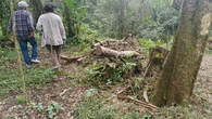 Pembalakan Liar Gunung Salak Berlangsung Selama 2 Tahun, Warga Dihantui Bencana