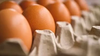Telur Mentah atau Matang, Mana yang Memiliki Kadar Gizi Tinggi? Ini Penjelasan Ilmiahnya