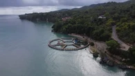Tari Mondinggo, Tarian Tradisional Buton Representasi Kehidupan Agraris dan Maritim