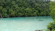 Top 3 Berita Hari Ini: Turis China Ditemukan Tewas di Pulau Kakaban Kalimantan, Diduga kar...