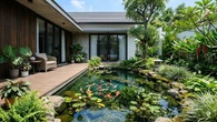 Cara Membuat Kolam Ikan Hias yang Jernih Tanpa Filter Mahal untuk Rumah Minimalis