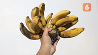 Diet bagi Pasien Anemia Defisiensi Besi, Ini Daftar Makanan yang Disarankan