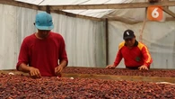Gawat, Bahan Baku Industri Kakao dan Susu Mayoritas Impor