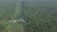 Pemadaman Bergilir di Sumut, PLN sebut Perbaikan Listrik Sampai 14 Juni 2026